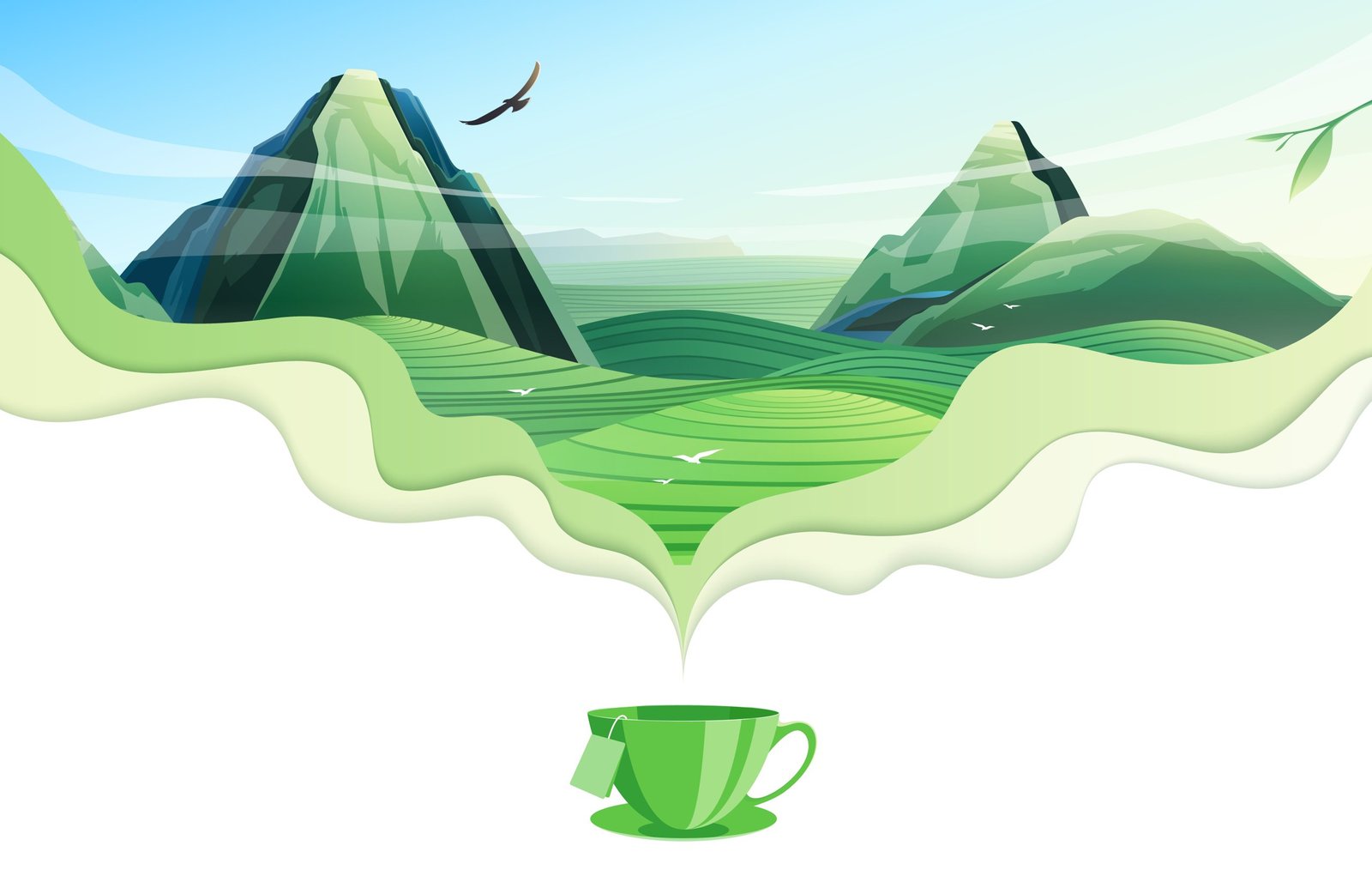 Exploring the World of Tea
