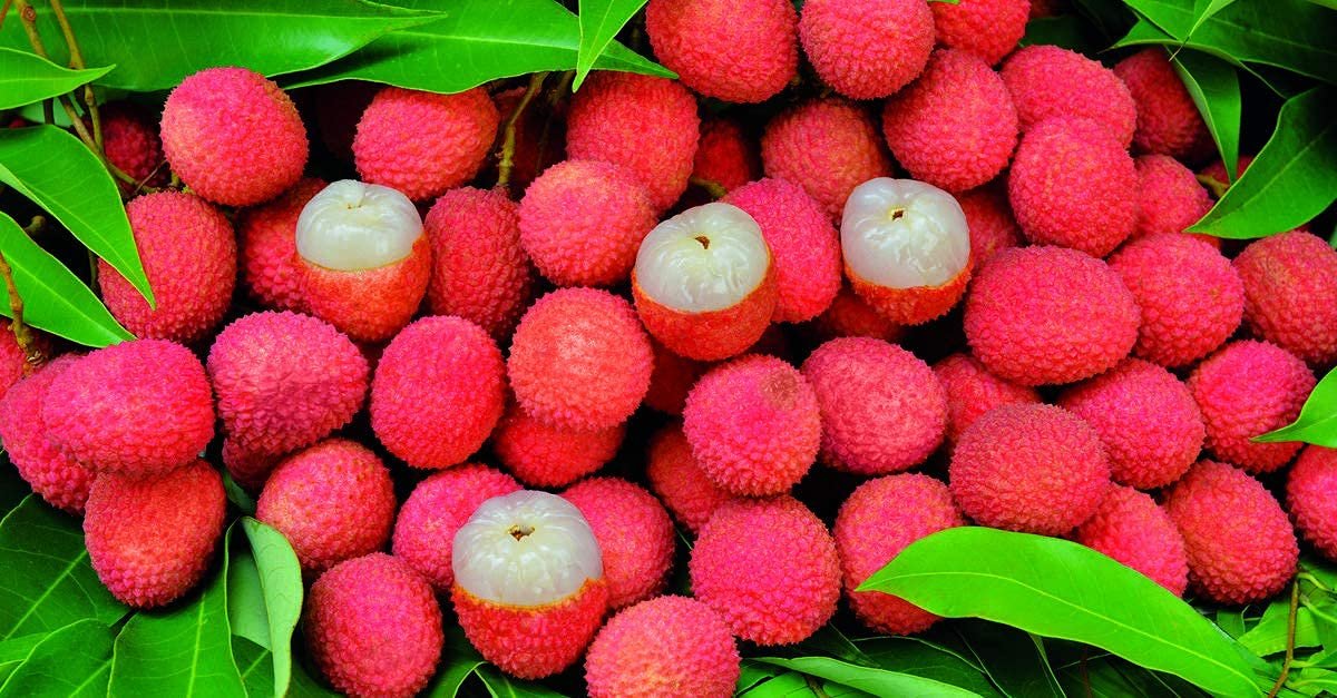Here Are Some Incredible Health Advantages Of Litchi Fruit